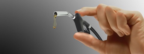 Framed Person's hand holding gas pump Print