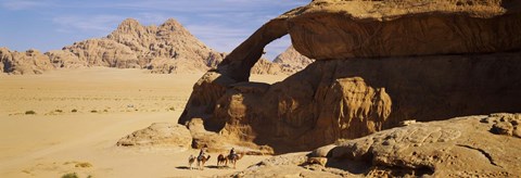 Framed Camels at the eye of the eagle arch, Wadi Rum, Jordan Print