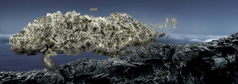 Framed Money tree Print