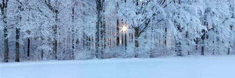 Framed Forest in winter at sunrise, Swabian Alb, Baden-Wurttemberg, Germany Print