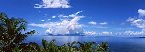 Framed Indian ocean with palm trees towards Mahe Island looking from North Island, Seychelles Print