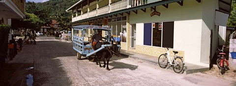 Framed Ox-drawn cart in a street, La Digue Island, Seychelles Print