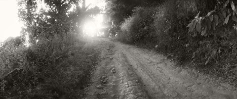 Framed Dirt road through a forest, Chiang Mai Province, Thailand (black and white) Print