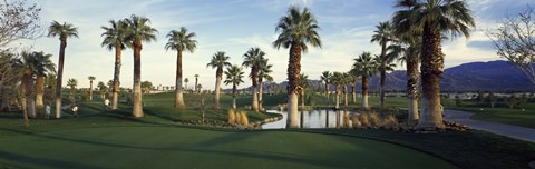 Framed Palm trees in a golf course, Desert Springs Golf Course, Palm Springs, Riverside County, California, USA Print