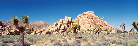 Framed Rock Formation In A Arid Landscape, Joshua Tree National Monument, California, USA Print