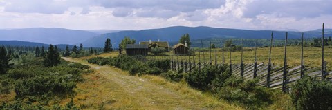 Framed Farmhouses in a field, Gudbrandsdalen, Oppland, Norway Print