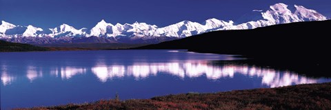 Framed Mt. McKinley &amp; Wonder Lake Denali National Park Print