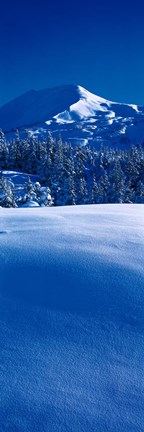 Framed Turnagain Pass Kenai Peninsula, Alaska Print
