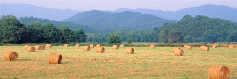 Framed Hay bales in a field, Murphy, North Carolina, USA Print