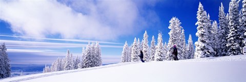 Framed Steamboat Springs, Colorado, USA Print