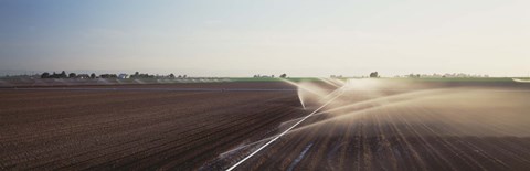 Framed USA, California, Central Valley, Irrigation in the field Print