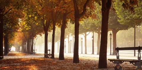 Framed France, Paris, Champs Elysees Print