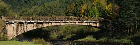 Framed Bridge in a forest, Black Forest, Germany Print