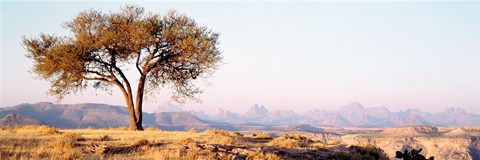 Framed Tree in a field with a mountain range in the background, Debre Damo, Tigray, Ethiopia Print