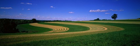 Framed Farmland IL USA Print