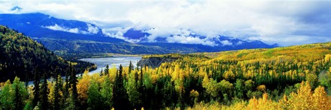 Framed Panoramic View Of A Landscape, Yukon River, Alaska, USA, Print