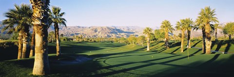 Framed Marriot Desert Spring CA, USA Print