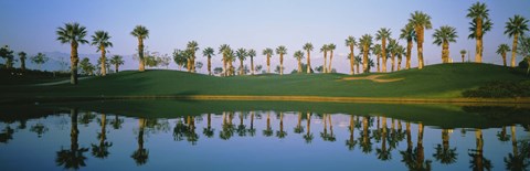 Framed Golf Course Marriot&#39;s Palms AZ Print
