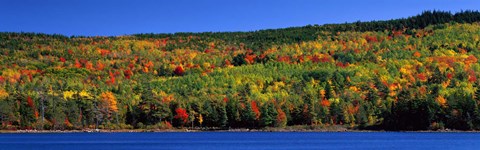 Framed Autumn Eagle Lake, Acadia National Park, Maine, USA Print