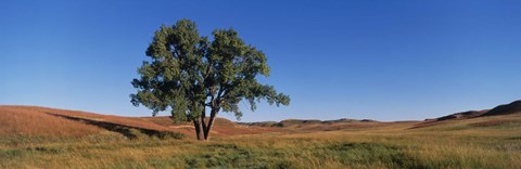 Framed Wind Cave National Park, South Dakota, USA Print