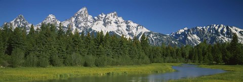 Framed Trees along a river, Near Schwabachers Landing, Grand Teton National Park, Wyoming Print