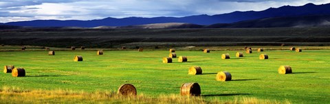 Framed Haystacks, Field, Jackson County, Colorado, USA Print