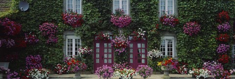 Framed Flowers Breton Home Brittany France Print