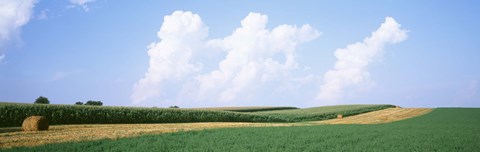 Framed Hay bales in a field, Jo Daviess county, Illinois, USA Print