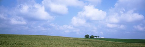 Framed Panoramic view of a landscape, Marshall County, Iowa, USA Print