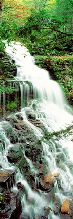 Framed Ganoga Falls Ricketts Glenn State Park PA Print