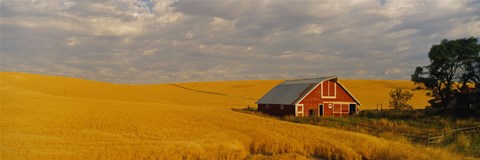 Framed Barn in a wheat field, Palouse, Washington State, USA Print