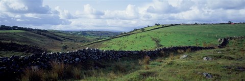 Framed Stone wall on a landscape, Republic of Ireland Print