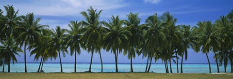 Framed Palms &amp; lagoon Aitutaki Cook Islands Print