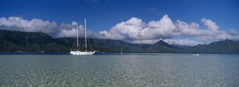 Framed Sailboat in a bay, Kaneohe Bay, Oahu, Hawaii, USA Print