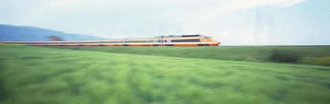 Framed TGV High-speed Train passing through a grassland Print