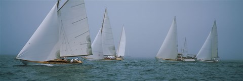 Framed Sailboats at regatta, Newport, Rhode Island, USA Print