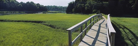 Framed Boardwalk in a field, Nauset Marsh, Cape Cod, Massachusetts, USA Print