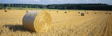 Framed Bales of Hay Southern Germany Print