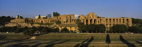 Framed Old ruins of a building, Roman Forum, Rome, Italy Print