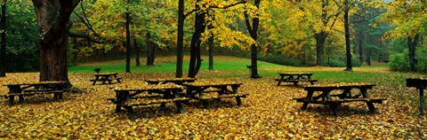 Framed Robert Treman State Park, New York State, USA Print