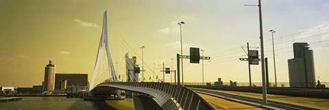 Framed Bridge across the river, Erasmus Bridge, Rotterdam, Netherlands Print