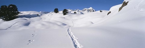 Framed Footprints on a snow covered landscape, Alps, Riederalp, Valais Canton, Switzerland Print