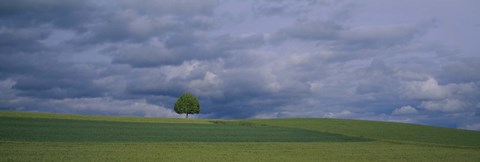 Framed Storm clouds over a field, Zurich Canton, Switzerland Print