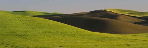 Framed Wheat Field On A Landscape, Whitman County, Washington State, USA Print