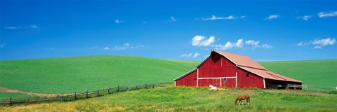 Framed Red Barn With Horses WA Print