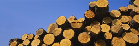 Framed Stack of wooden logs in a timber industry, Austria Print