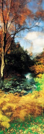 Framed View Of The Valley, Borrowdale, Keswick, Great Britain, United Kingdom Print