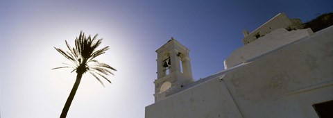 Framed Low angle view of a palm tree near a church , Ios, Cyclades Islands, Greece Print