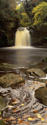 Framed Waterfall In A Forest, Thomason Foss, Goathland, North Yorkshire, England, United Kingdom Print
