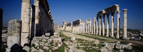 Framed Old ruins on a landscape, Cardo Maximus, Apamea, Syria Print